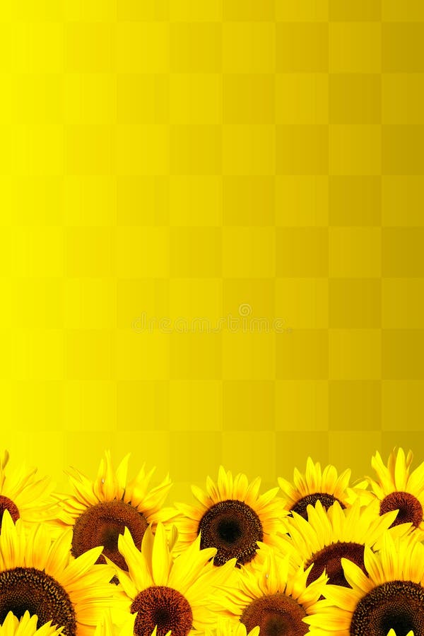 Yellow Sunflowers Petals Background Picture. Image 10344216