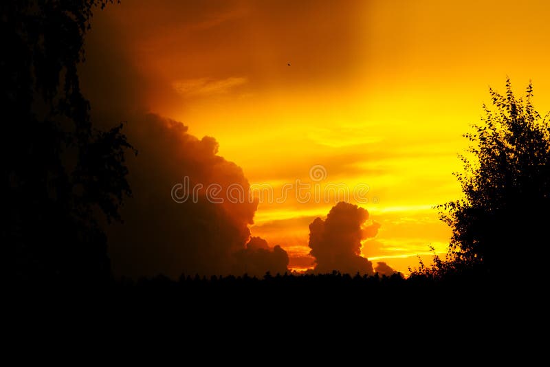 Yellow Sunset with Lights Way Stock Image Image of summer, sunset