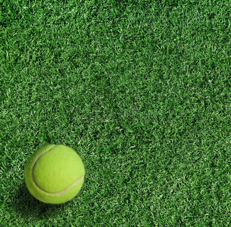 Yellow Tennis Ball on Green Grass Stock Image Image of family, ball 22052719