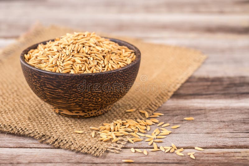 Yellow Thai Paddy Jasmine Rice on Wooden Plank Stock Image Image of