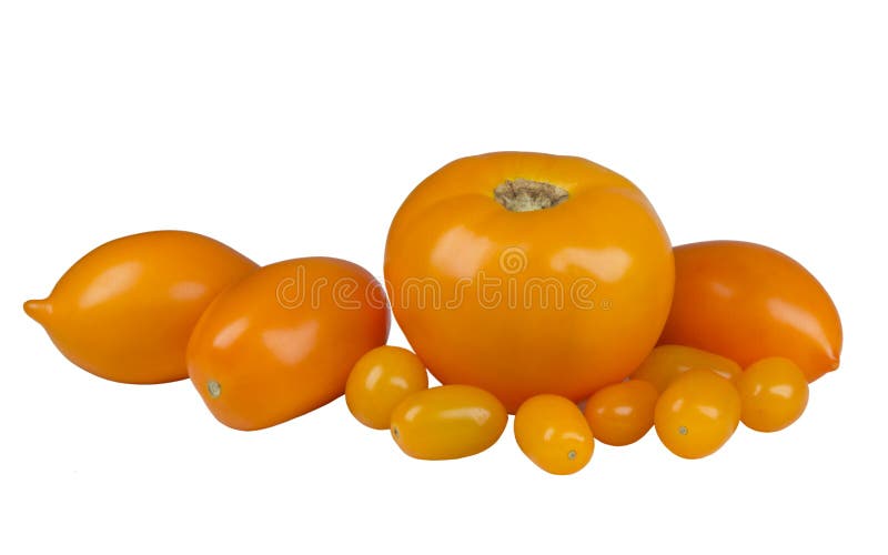Yellow Tomatoes of Different Varieties Stock Photo Image of closeup