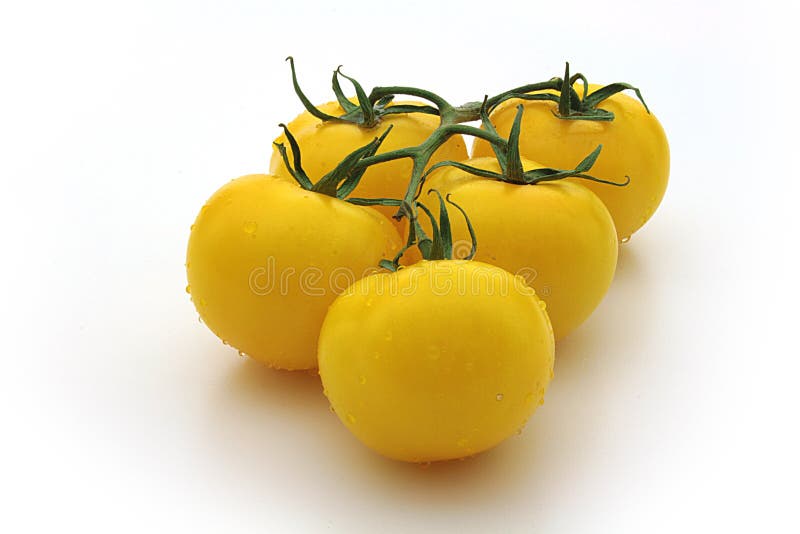 Yellow tomatos