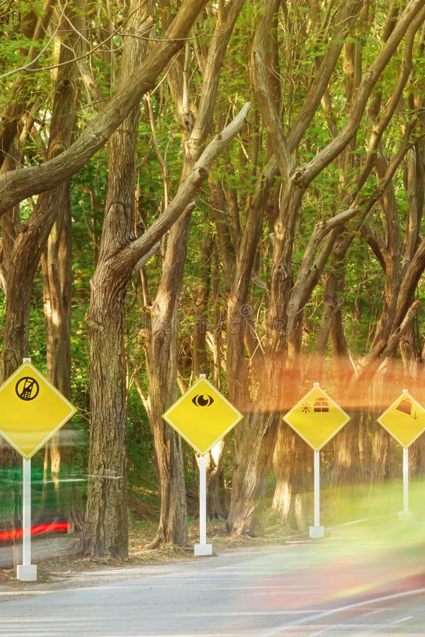 Signs on a Tree stock image. Image of show, arrows, tree - 5025657