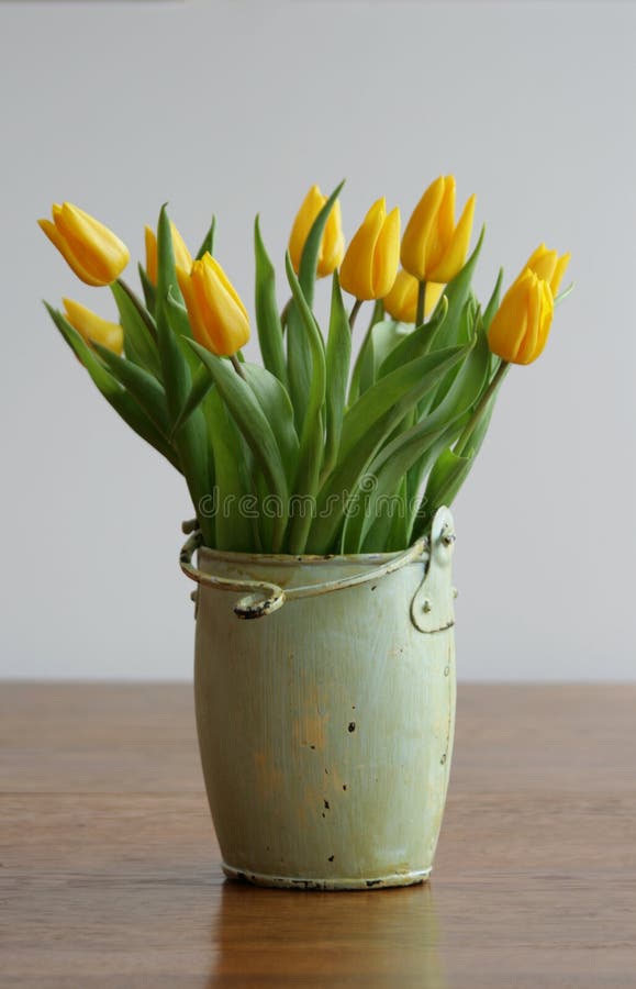 Yellow Tulips stock photo