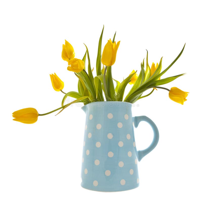 Yellow Tulips in a Blue Spotted Jug Stock Photo Image of surprise