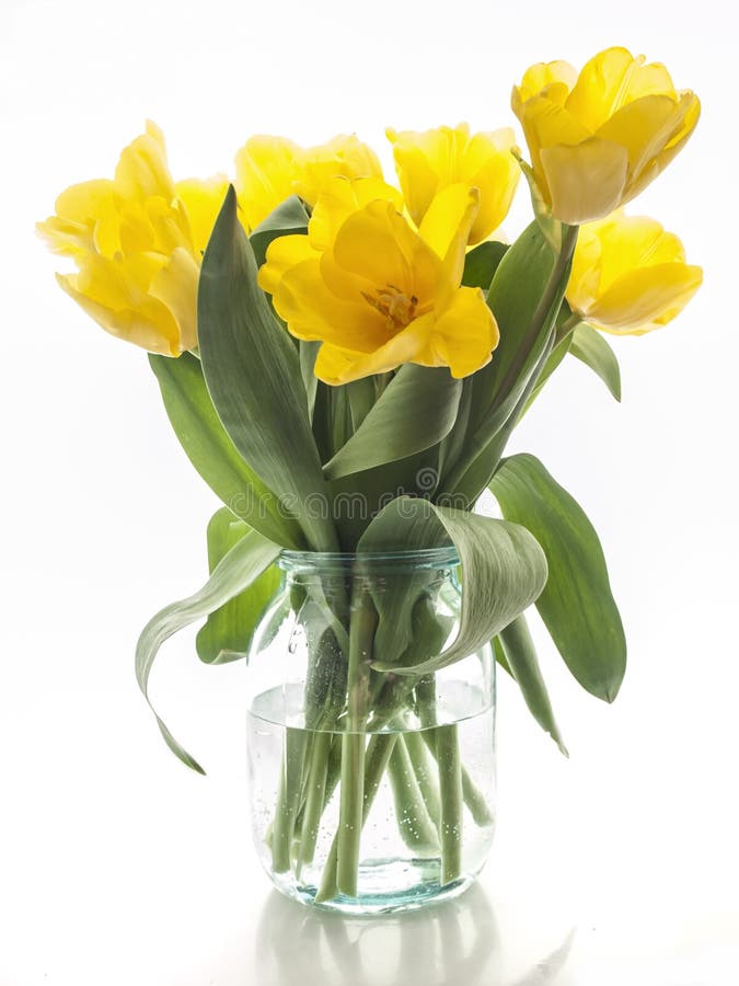 Yellow tulips bouquet on a white background