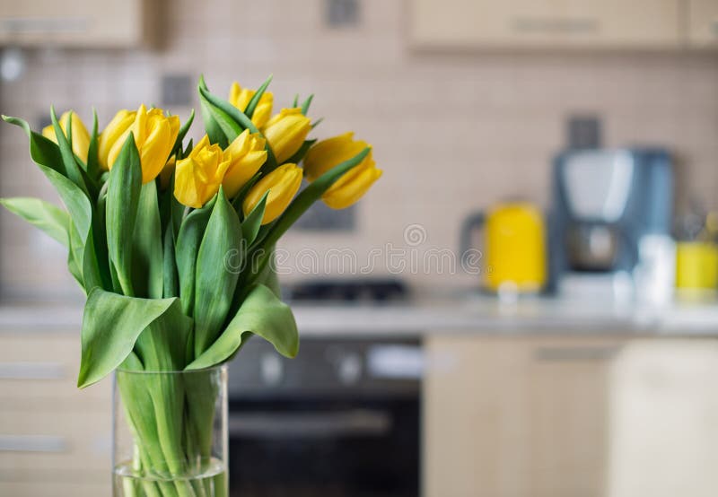 Yellow tulips on kitchen background royalty free stock photo
