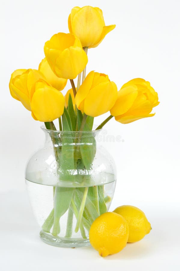 Yellow Tulips with Lemons