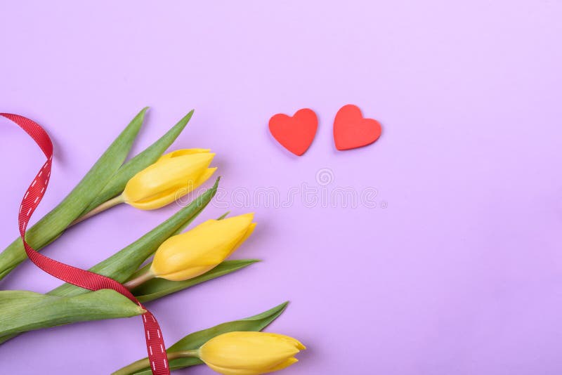 Yellow tulips with ribbon royalty free stock photography Yellow tulips with ribbon royalty free stock photography