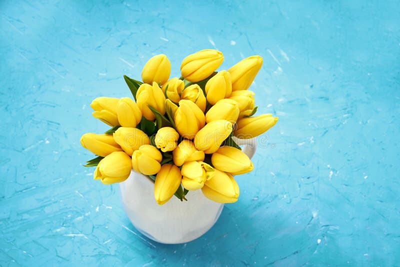 Yellow tulips in vase on blue background. Bouquet. Copy space