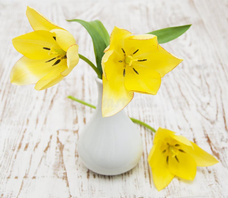 Yellow tulips in a vase royalty free stock image Yellow tulips in a vase royalty free stock image