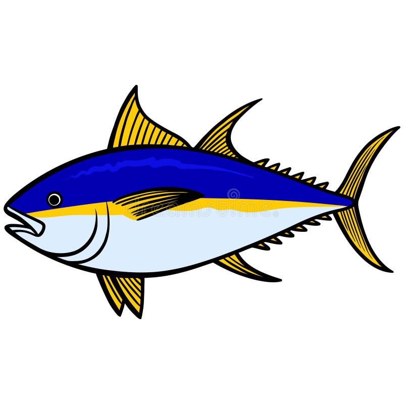Yellowfin Tuna Stock Illustrations 140 Yellowfin Tuna Stock
