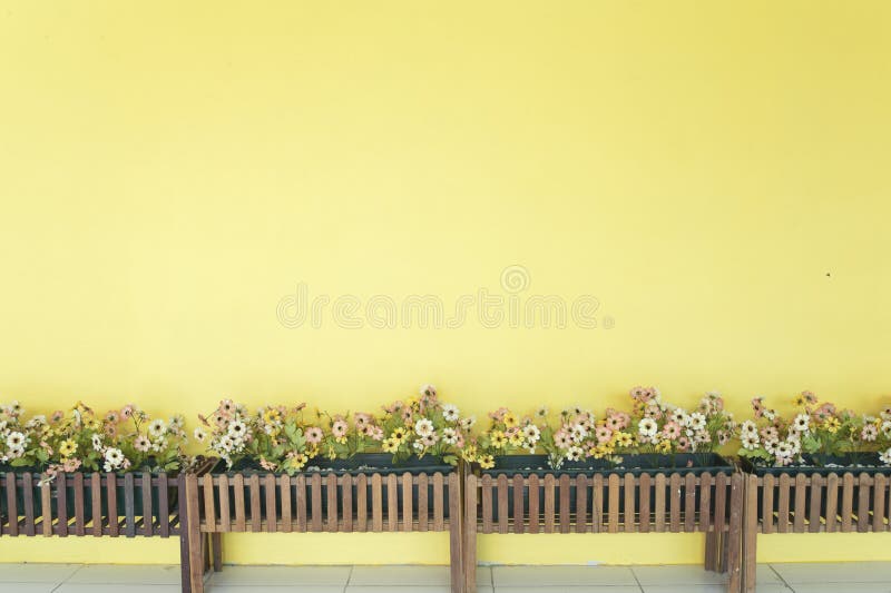 Yellow wall with flower stock image. Image of petal, beautiful 19197585
