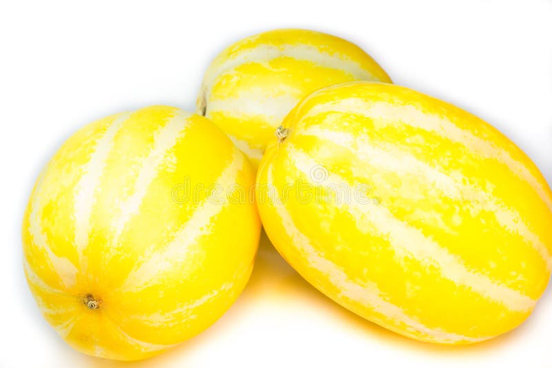 Korean melon stock photo. Image of season, vegetable 25840616