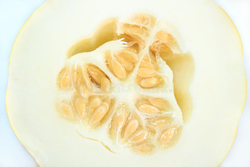 Yellow watermelon stock image. Image of yellow, juicy 31149551