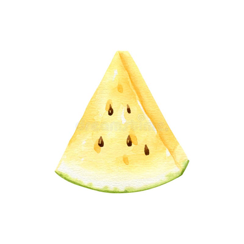 Yellow watermelon slice. Triangular piece of yellow watermelon. Watercolor illustration isolated on white background. Triangular cut watermelon stock images, royalty-free photos and pictures