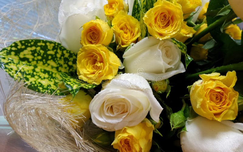 Yellow and white roses stock photo. Image of bouquet 49179042