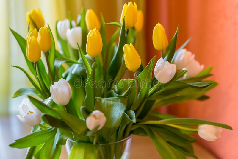 Yellow and white tulips spring flowers Easter bouquet of flowers