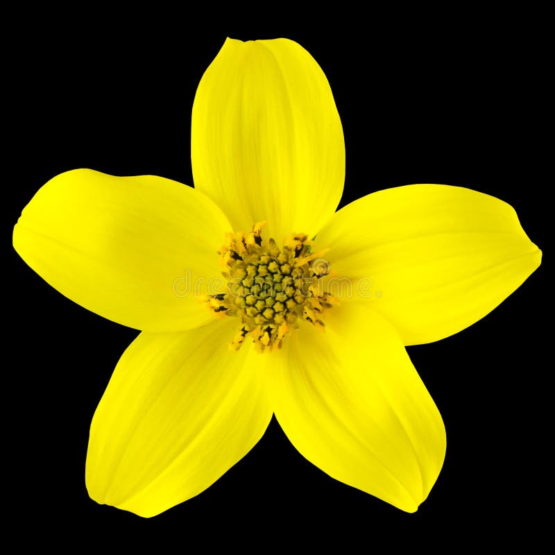My Image 8