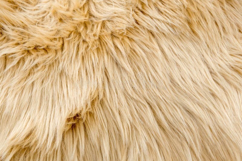 Latte Luxury Shag Faux Fur