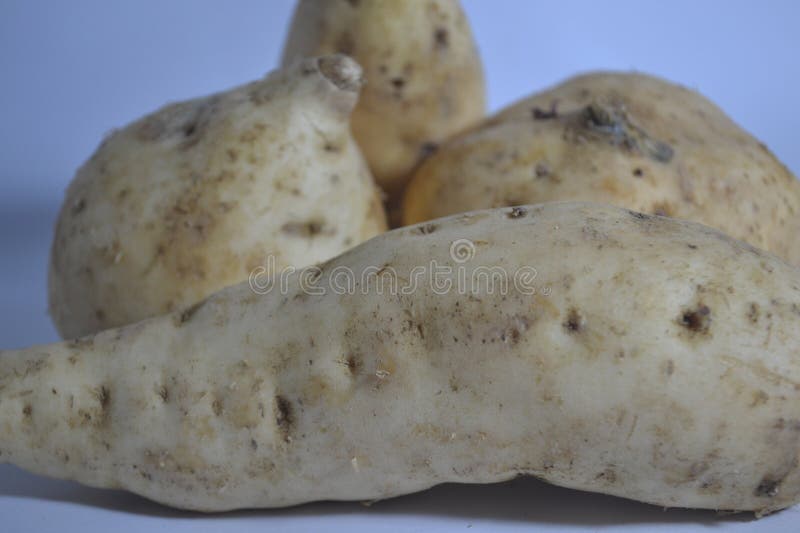 A Yellow Yam Plant Sits on a White Surface. Stock Image Image of