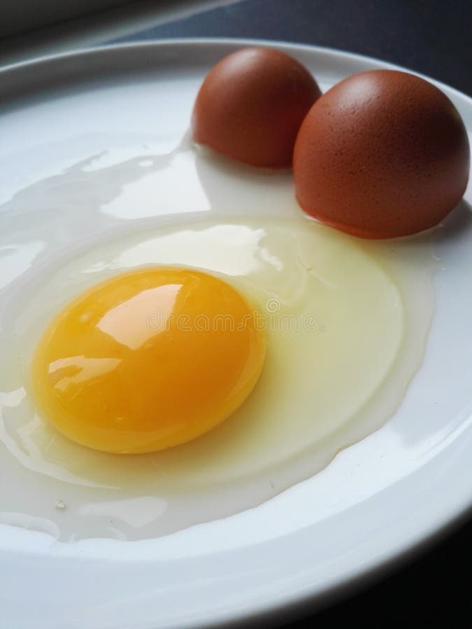Yellow Yolk, Egg White and Shells. Raw Egg on a White Plate. Stock
