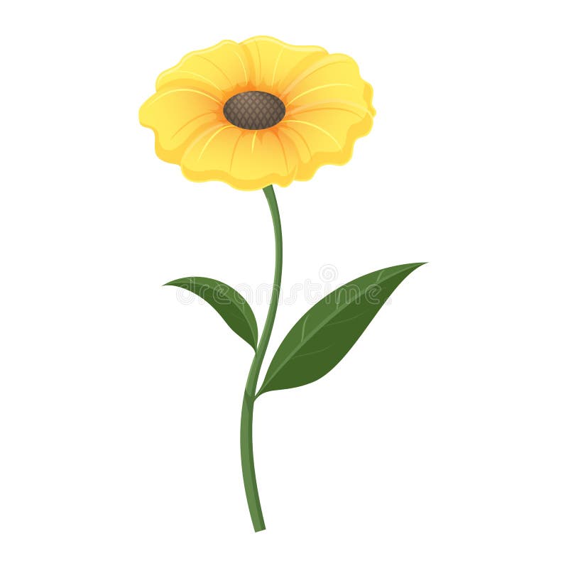 Download Yellow Zinnia Flower In Illustration Stock Vector ...