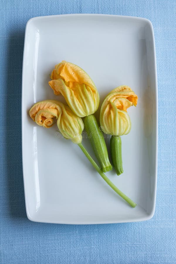 Zucchini Blossoms on a Zucchini Plant Stock Image Image of pepo
