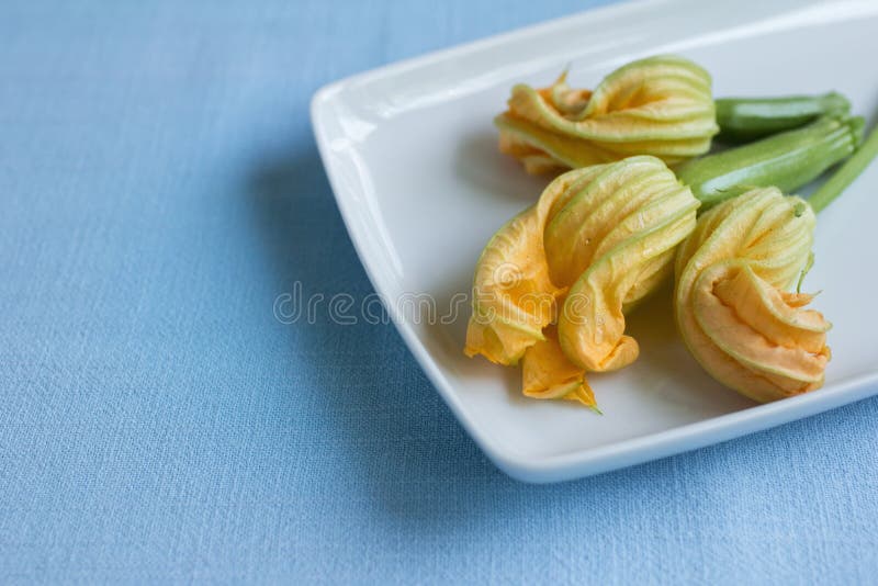 Zucchini Blossoms on a Zucchini Plant Stock Image Image of pepo