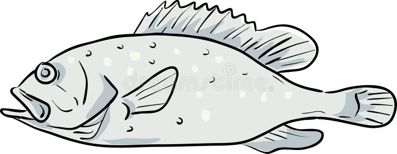 Grouper Fish Cartoon Stock Illustrations – 290 Grouper Fish Cartoon Stock  Illustrations, Vectors & Clipart - Dreamstime