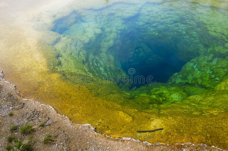 Yellowstone