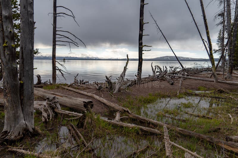 Yellowstone Lake, the largest high alpine lake in North America