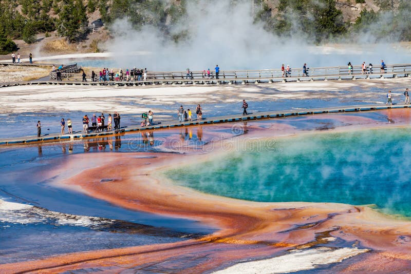 Yellowstone National Park royalty free stock photography Yellowstone National Park royalty free stock photography