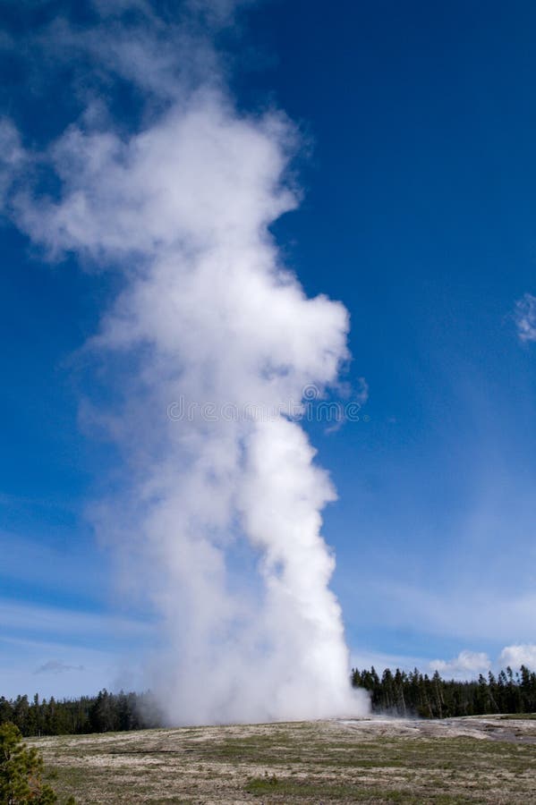 Yellowstone National Park, Wyoming, USA royalty free stock photography Yellowstone National Park, Wyoming, USA royalty free stock photography