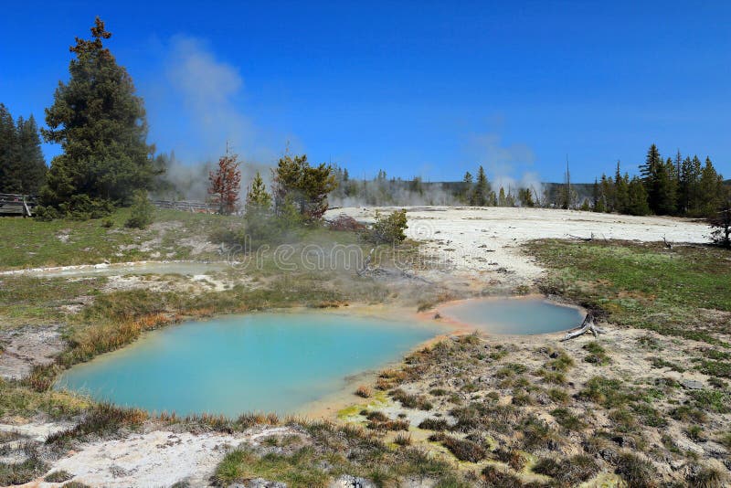 Yellowstone National Park, West Thumb Paint Pots near Yellowstone Lake, West Thumb Geyser Basin, Wyoming, USA