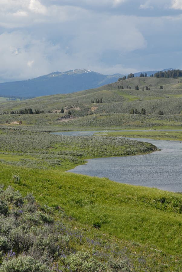 Yellowstone river