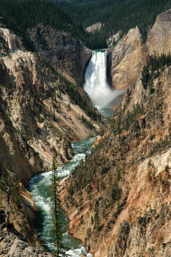 yellowstone καταρρακτών στοκ φωτογραφία yellowstone καταρρακτών στοκ φωτογραφία