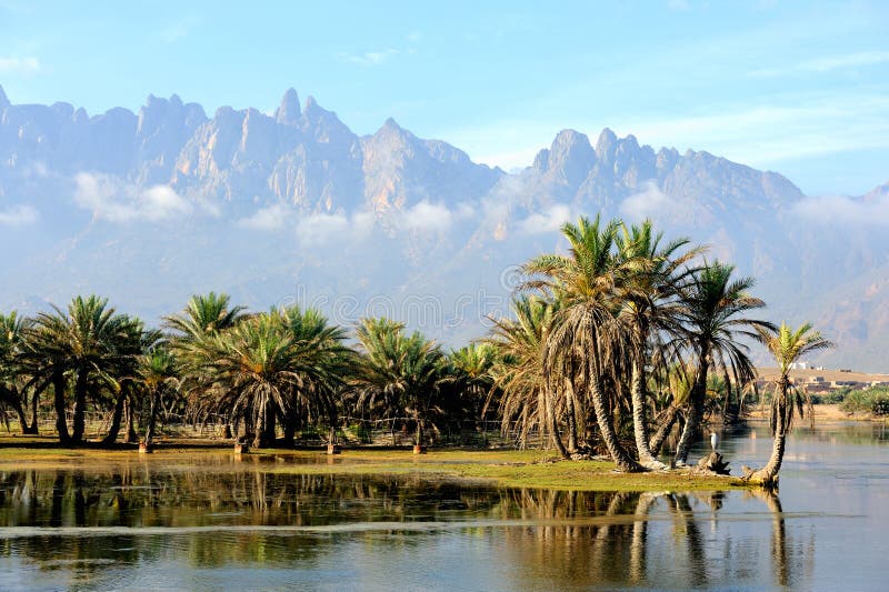 Yemen. Socotra island