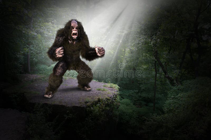 Illustration of Bigfoot, Sasquatch, or Yeti in the deep, dark, mysterious woods or forest. The mythical wildlife animal is standing on a rock ledge. Illustration of Bigfoot, Sasquatch, or Yeti in the deep, dark, mysterious woods or forest. The mythical wildlife animal is standing on a rock ledge.