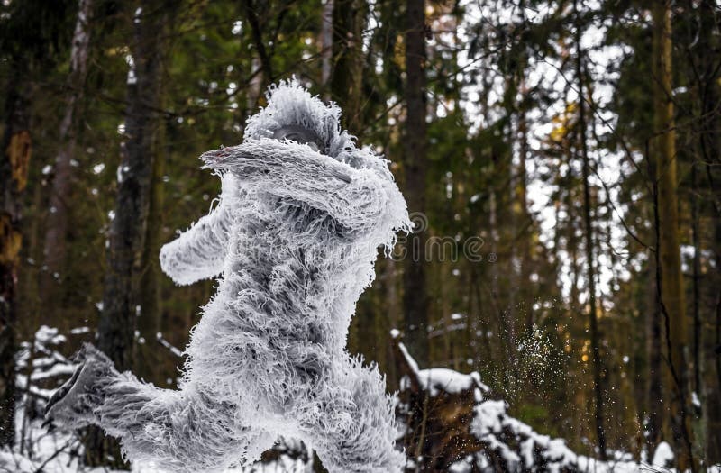 Yeti fairy tale character in winter forest. Outdoor fantasy photo. Yeti fairy tale character in winter forest. Outdoor fantasy photo