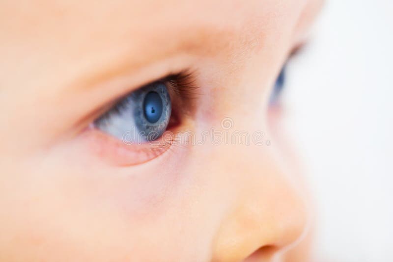 Yeux Bleus Photo Stock Image Du Orienter Bleu Infant Yeux Bleus Photo Stock Image Du Orienter Bleu Infant