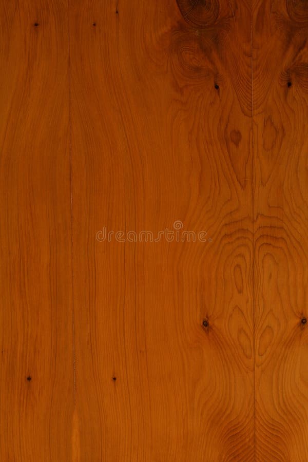 Yew wood texture stock photo. Image of brown, grain, wood 17423046