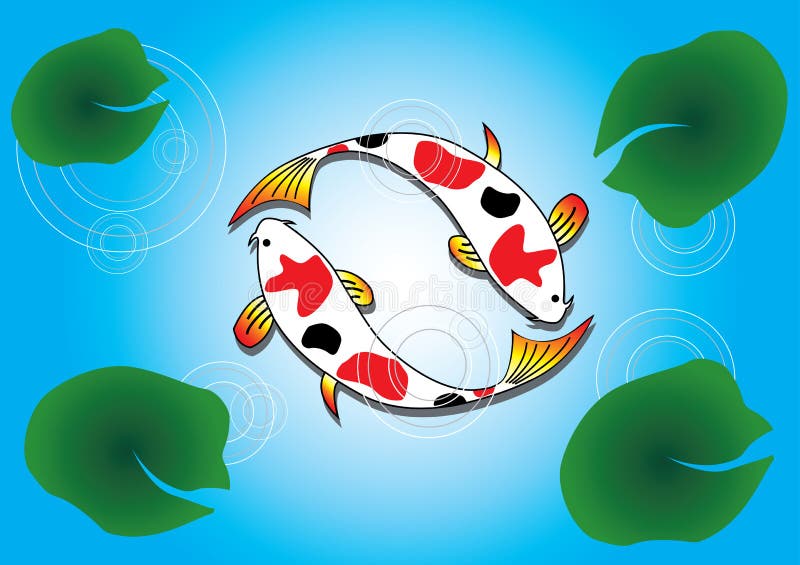 Ying Yang Koi Pesce che nuota nel Loto.