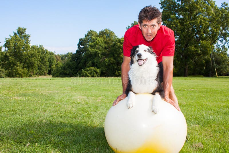 Yoga Ball Dog Training stock image. Image of funny, arthritis 33684253