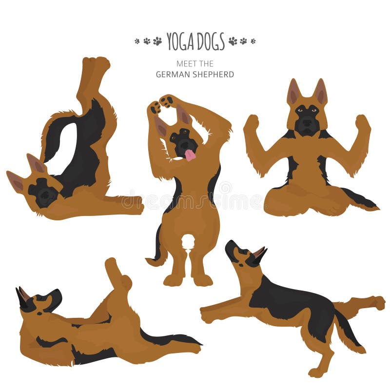 Yoga dogs poses and exercises. German shepherd clipart stock illustration Yoga dogs poses and exercises. German shepherd clipart stock illustration