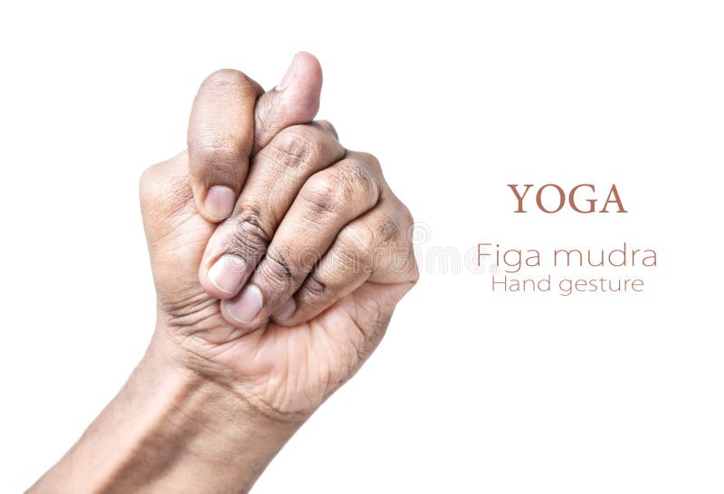Download Yoga Figa mudra stock photo. Image of hindu, hand, health - 24556534