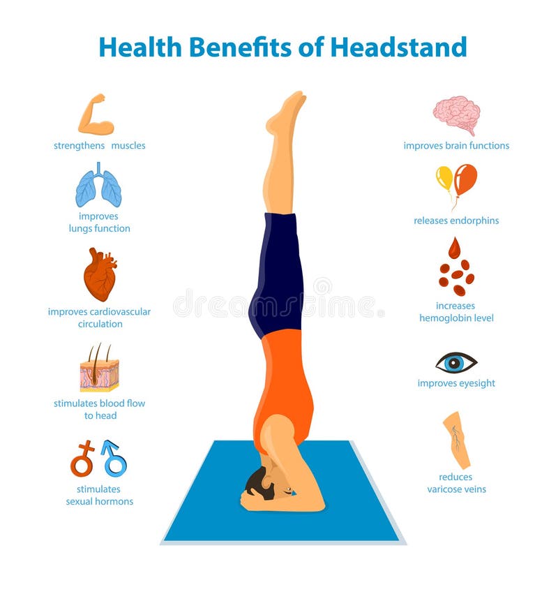 Yoga Headstand Health Benefits Stock Vector - Illustration of anatomy, people: 78863569 Yoga Headstand Health Benefits Stock Vector - Illustration of anatomy, people: 78863569
