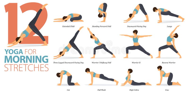 12 Yoga poses or asana posture for workout in Morning Stretches  concept. Women exercising for body stretching.Fitness infographic