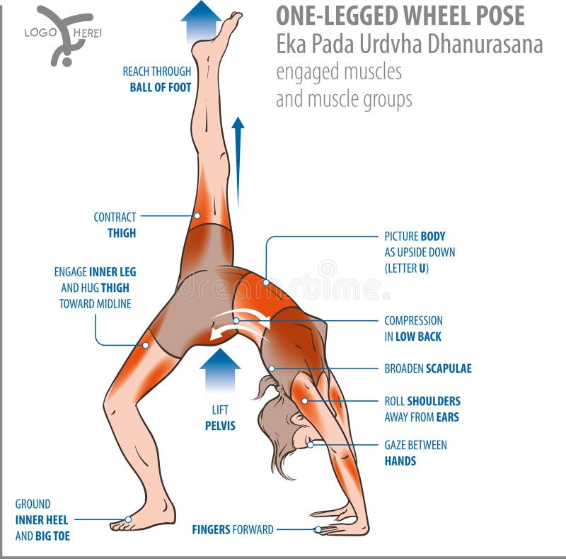 Asana Breakdown: Virabhadrasana 3 | Yoga anatomy, Yoga benefits, Yoga for  runners
