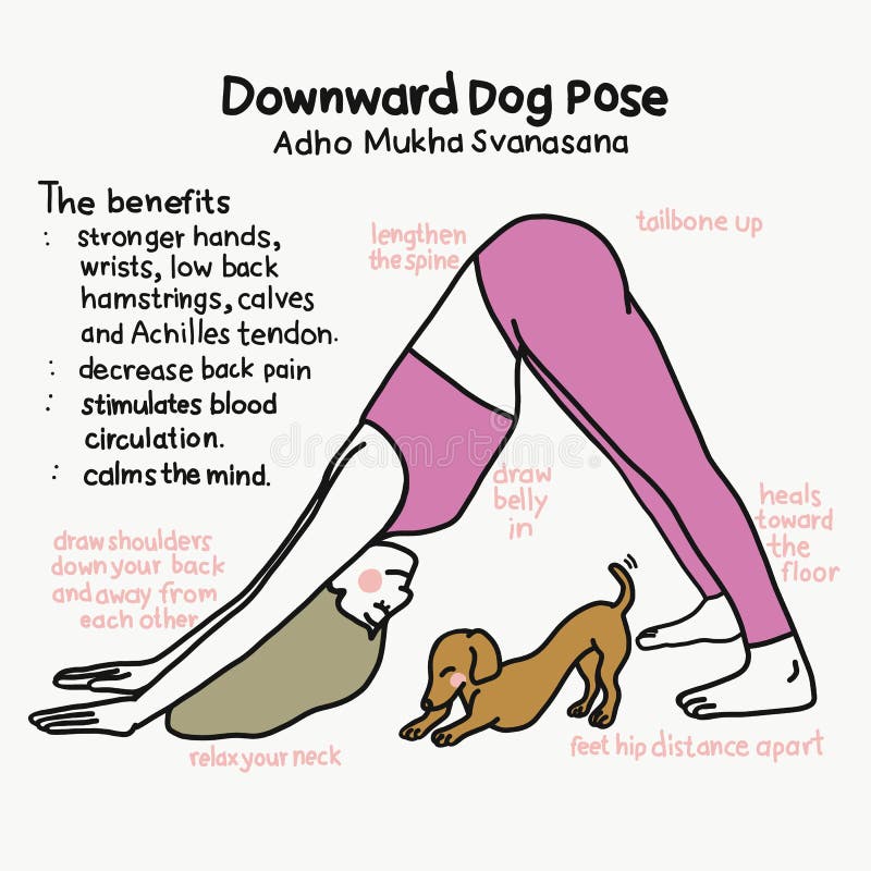 Puppy Pose: Unwind and Stretch With This Restorative Yoga Pose | livestrong
